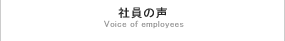 包装のアイディアバンク、豊通ニューパック株式会社：社員の声